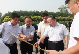 聊城高新区孙志国简历(聊城高新区孙志国简历最新)