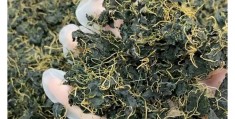 野菜产品怎么样(野菜销量怎么样?)