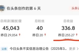 头条号创作平台文章是什么(头条号创作平台文章是什么类型)