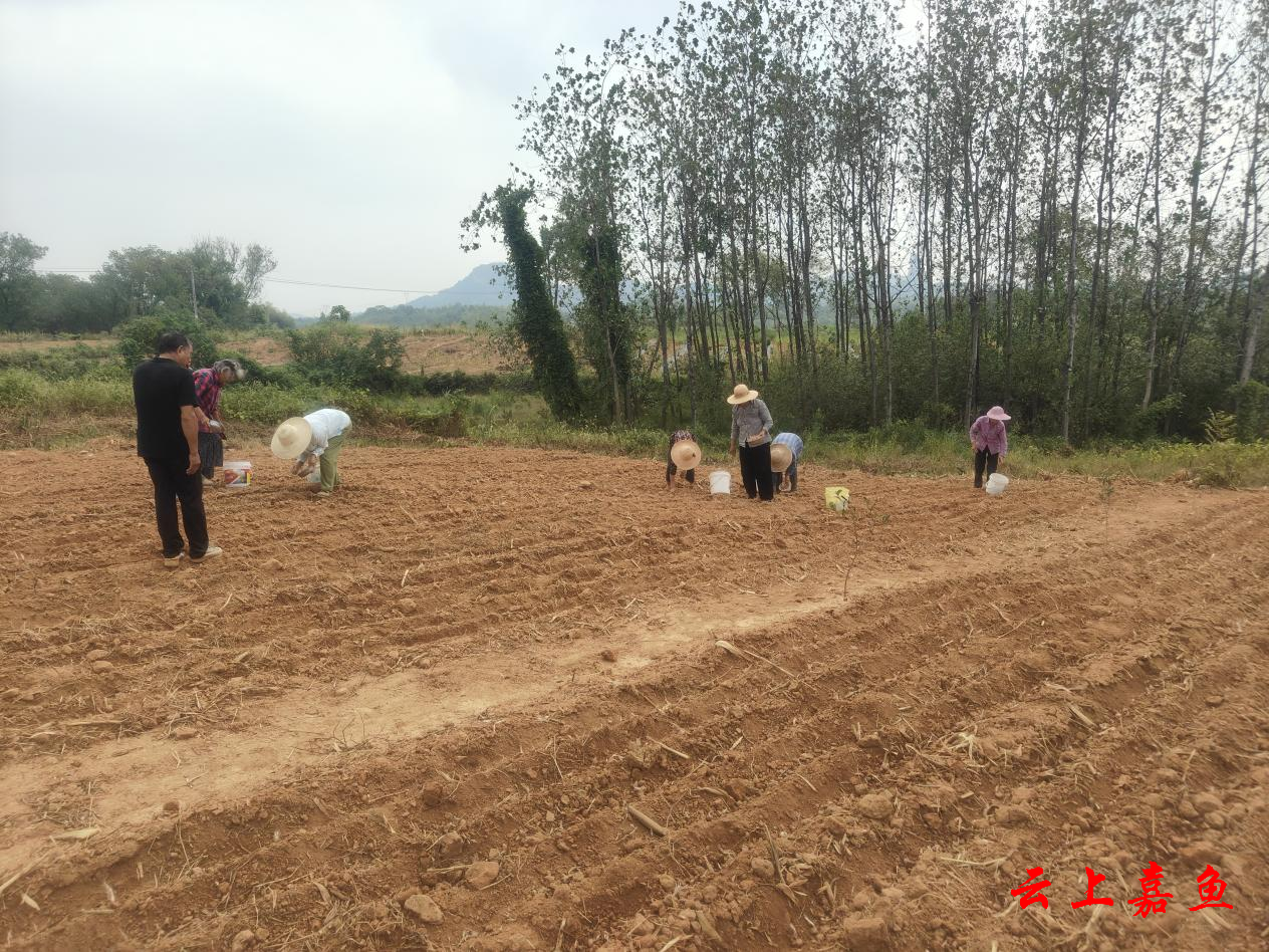 致富网官方网站入口网址是什么(致富网官方网站入口网址是什么呢)