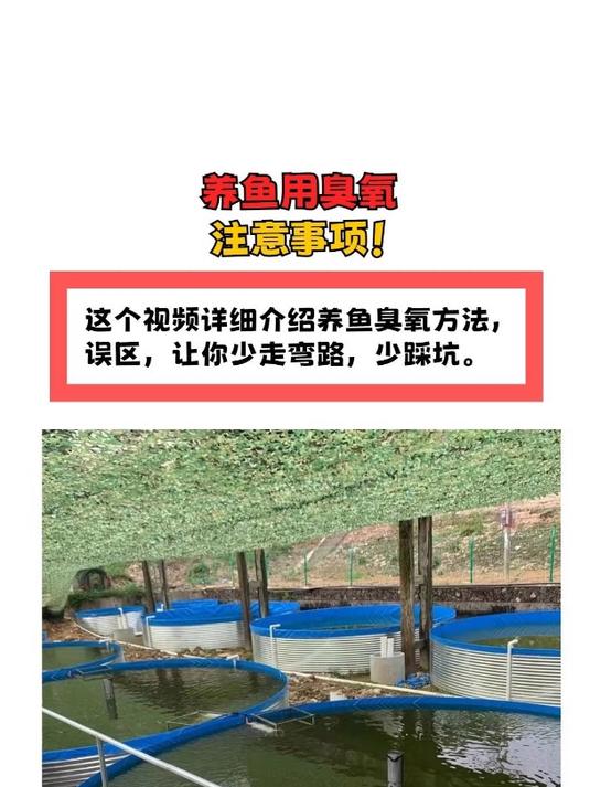 致富养鱼视频播放(致富养鱼视频播放在线观看)