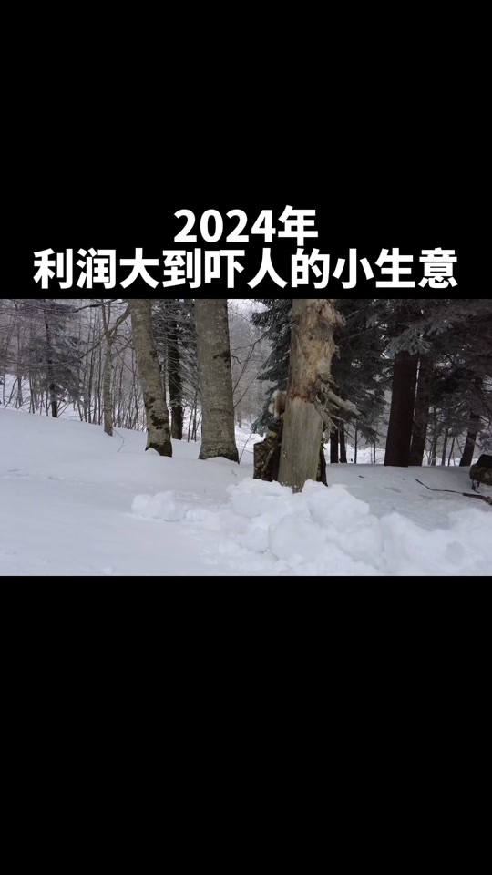 2024年适合投资的小生意(2024年适合投资的小生意有哪些)