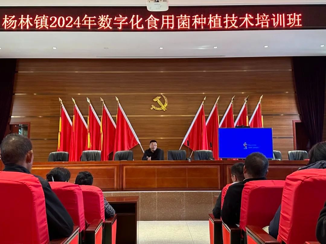 2024农村致富项目(2021年农村致富项目)