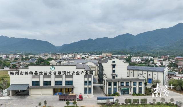 农村致富项目最新(2021农村致富新项目)