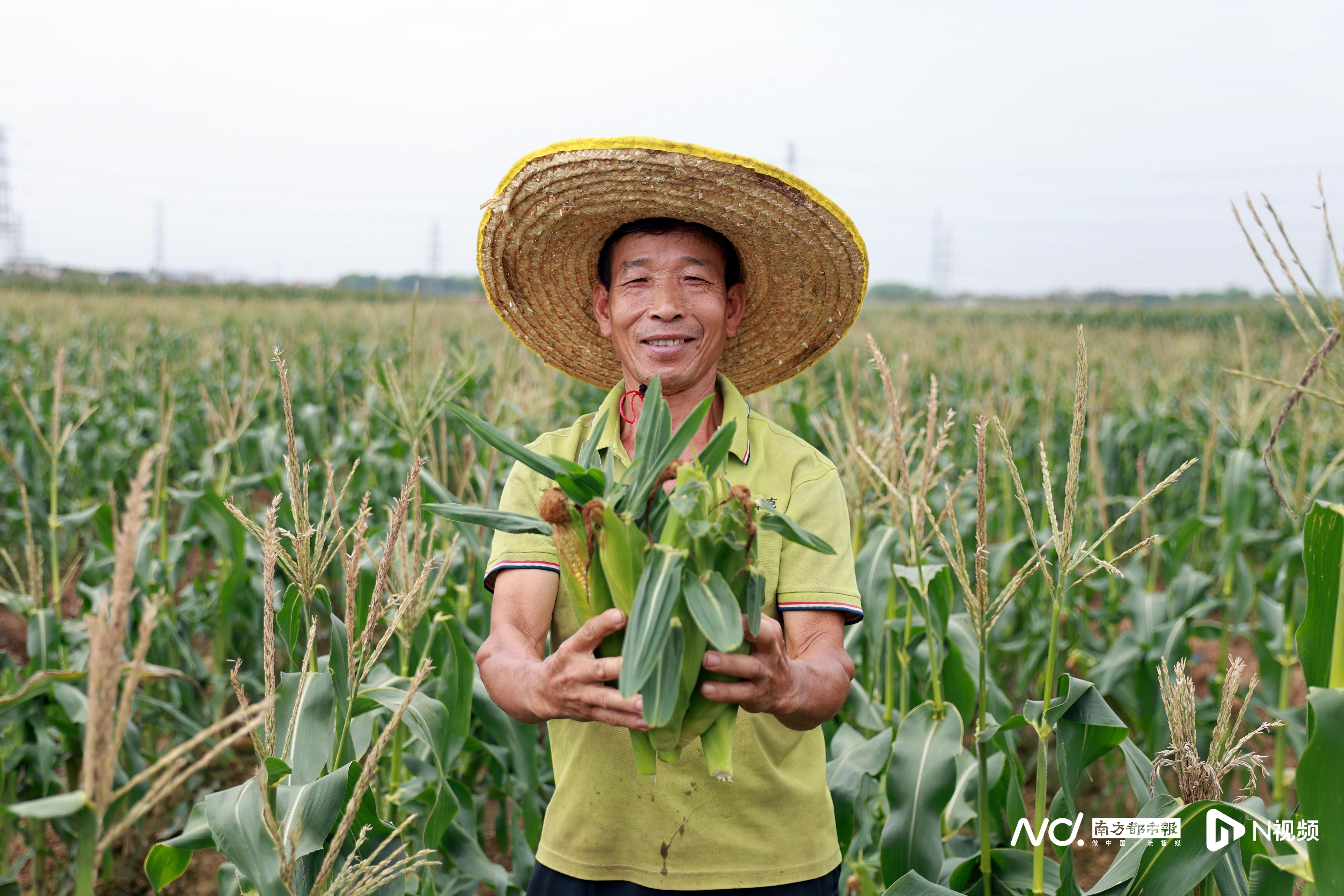 致富经视频大全(2020致富经视频)