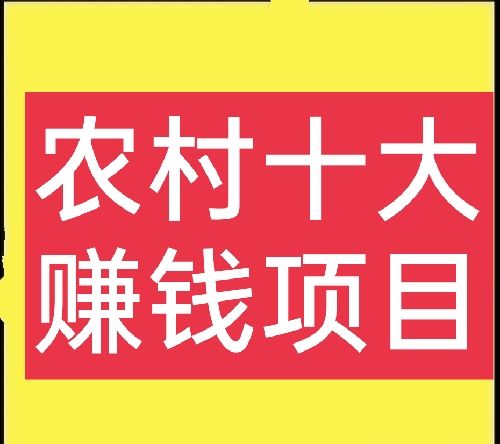 农村致富新项目业什么最赚钱农村(农村致富的一些项目,你都知道哪些呢)