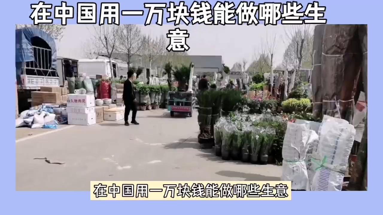 一万块钱创业项目(一万块钱创业项目怎么样)