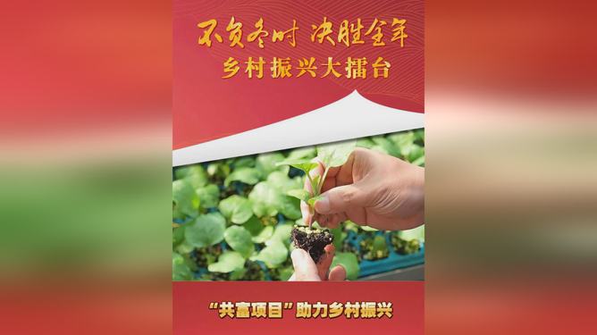 致富好项目排行榜(致富项目排行榜前10名)