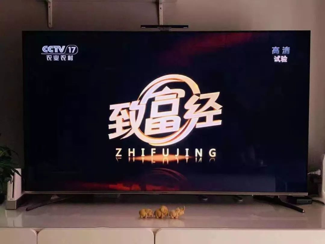 致富经2019年全集(致富经2019年全集完整版)