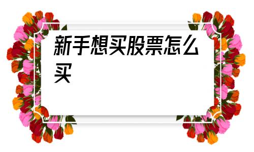 新手想买股票怎么买(新手买股票买多少合适)